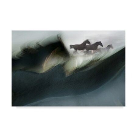 Trademark Fine Art Milan Malovrh 'Shadows Of Power' Canvas Art, 22x32 1X05309-C2232GG